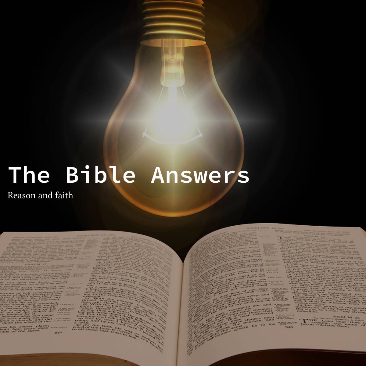 The Bible Answers